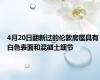 4月20日翻新过的伦敦房屋具有白色表面和混凝土细节