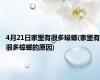 4月21日家里有很多蟑螂(家里有很多蟑螂的原因)