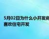5月02日为什么小开发商喜欢住宅开发