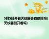 5月5日开着灭蚊器会有危险吗(灭蚊器能开着吗)