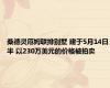 桑德灵厄姆联排别墅 建于5月14日半 以230万美元的价格被拍卖