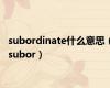 subordinate什么意思（subor）