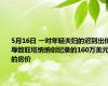 5月16日 一对年轻夫妇的迟到出价导致旺塔纳纳创纪录的160万美元的房价