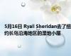5月16日 Ryall Sheridan去了纽约长岛沿海地区的湿地小屋