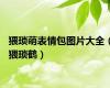 猥琐萌表情包图片大全（猥琐鹤）