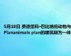 5月18日 费德里科·巴比纳将动物与Plananimals plan的建筑融为一体