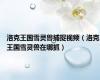 洛克王国雪灵兽捕捉视频（洛克王国雪灵兽在哪抓）