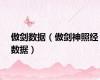傲剑数据（傲剑神照经数据）