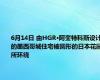 6月14日 由HGR·阿奎特科斯设计的墨西哥城住宅被圆形的日本花园所环绕