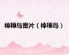 棒棰岛图片（棒棰岛）