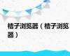 桔子浏览器（桔子浏览器）
