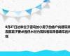 6月27日这家位于德岛的小房子的客户向建筑师直部直子要求提供木材内饰和看起来像跑车的外观