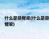 什么是悬臂梁(什么是悬臂梁)