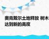 奥克戴尔土地释放 树木达到新的高度