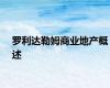 罗利达勒姆商业地产概述