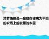 泽罗伍德是一座建在被夷为平地的农场上的发黑的木屋