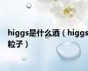 higgs是什么酒（higgs粒子）
