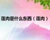 莲肉是什么东西（莲肉）