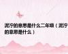 泥泞的意思是什么二年级（泥泞的意思是什么）