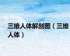 三维人体解剖图（三维人体）