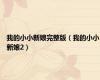 我的小小新娘完整版（我的小小新娘2）