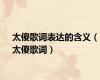 太傻歌词表达的含义（太傻歌词）