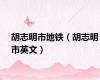 胡志明市地铁（胡志明市英文）