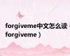 forgiveme中文怎么读（forgiveme）