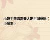 小吧主申请需要大吧主同意吗（小吧主）