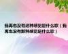 我再也没有这种感觉是什么歌（我再也没有那种感觉是什么歌）