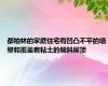 都柏林的家庭住宅有凹凸不平的墙壁和覆盖着粘土的倾斜屋顶