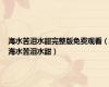 海水苦泪水甜完整版免费观看（海水苦泪水甜）