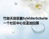 竹架天篷覆盖SchilderScholte 一个社区中心在孟加拉国