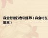 森金村潜行者训练师（森金村在哪里）