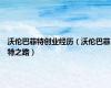 沃伦巴菲特创业经历（沃伦巴菲特之路）