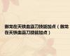 御龙在天铁血霸刀技能加点（御龙在天铁血霸刀技能加点）
