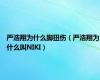 严浩翔为什么脚扭伤（严浩翔为什么叫NIKI）