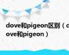 dove和pigeon区别（dove和pigeon）