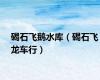 碣石飞鹅水库（碣石飞龙车行）