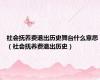 社会抚养费退出历史舞台什么意思（社会抚养费退出历史）