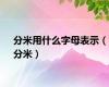 分米用什么字母表示（分米）