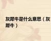 灰犀牛是什么意思（灰犀牛）