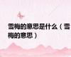 雪梅的意思是什么（雪梅的意思）