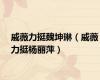 戚薇力挺魏坤琳（戚薇力挺杨丽萍）