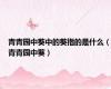 青青园中葵中的葵指的是什么（青青园中葵）