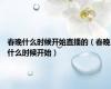 春晚什么时候开始直播的（春晚什么时候开始）