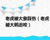 老虎被大象踩伤（老虎被大鹅追咬）