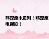 燕双鹰电视剧（燕双鹰电视剧）