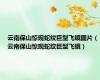 云南保山惊现蛇纹巨型飞蛾图片（云南保山惊现蛇纹巨型飞蛾）