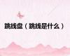 跳线盘（跳线是什么）